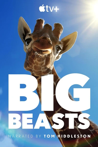 Big Beasts - Những Sinh Vật Phi Thường
