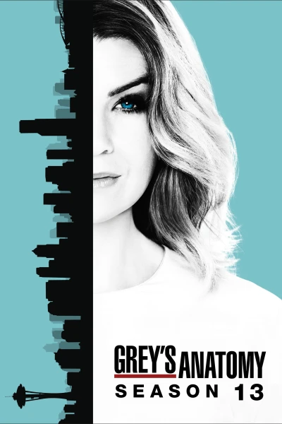 Ca Phẫu Thuật Của Grey (Phần 13) - Grey's Anatomy (Season 13) (2016) Ca Phẫu Thuật Của Grey (Phần 13) - Grey's Anatomy (Season 13) (2016)