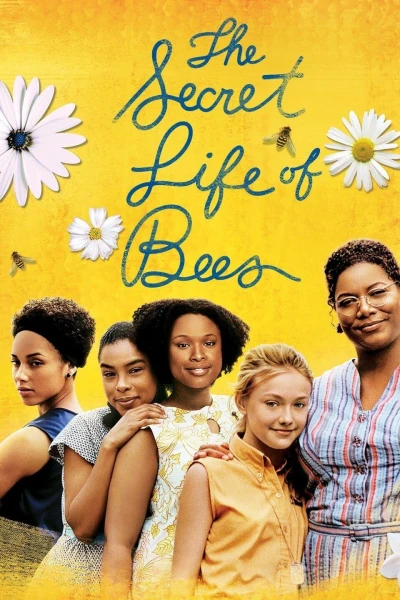 Tìm Lại Yêu Thương - The Secret Life of Bees (2008) Tìm Lại Yêu Thương - The Secret Life of Bees (2008)